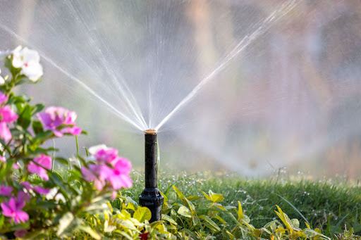 A sprinkler spraying water on grass and flowers.